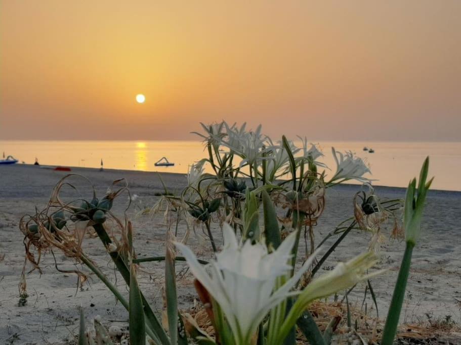 Casa Lulu Due Minuti Dal Mare Apartman Ardore Marina Kültér fotó