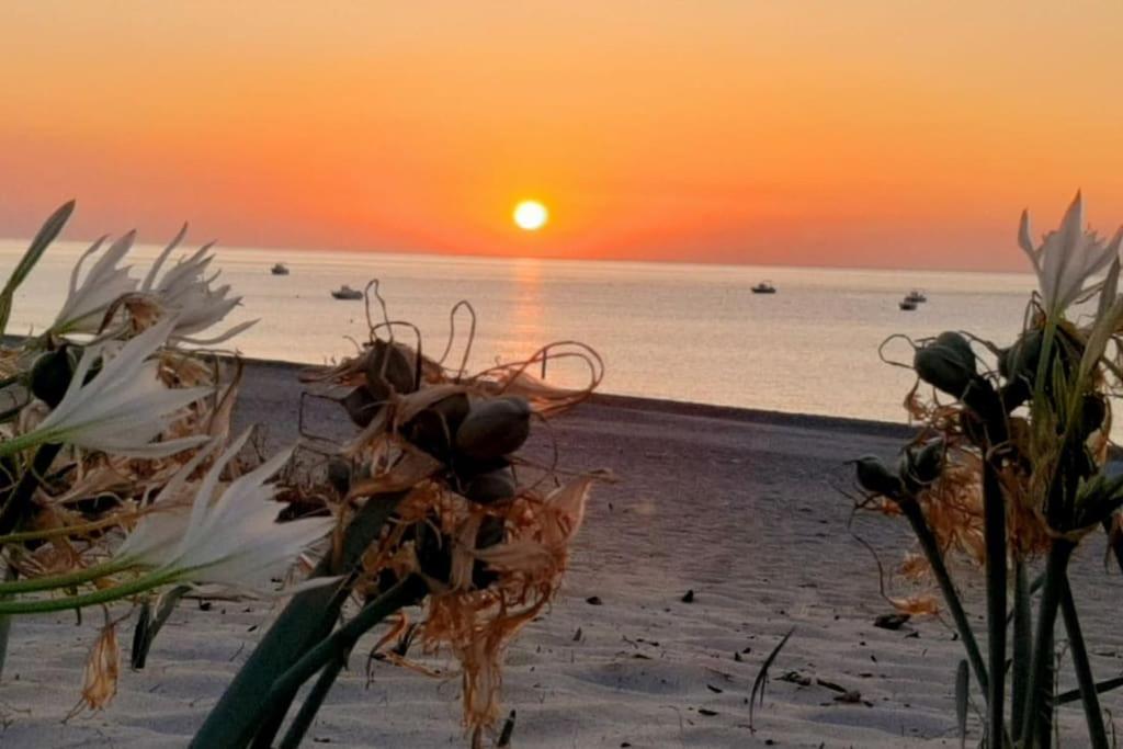 Casa Lulu Due Minuti Dal Mare Apartman Ardore Marina Kültér fotó